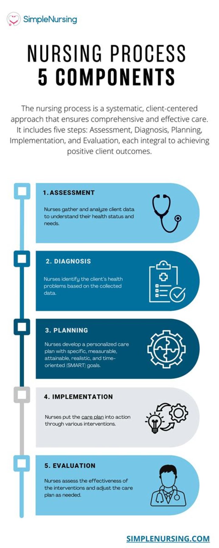 What are the five components of the nursing process