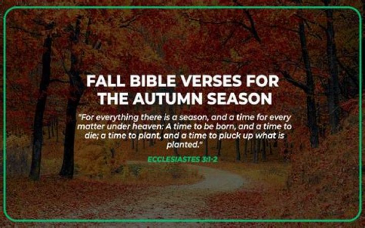 What is the fall in the Bible