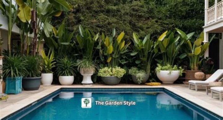 What kind of plants are good around pools