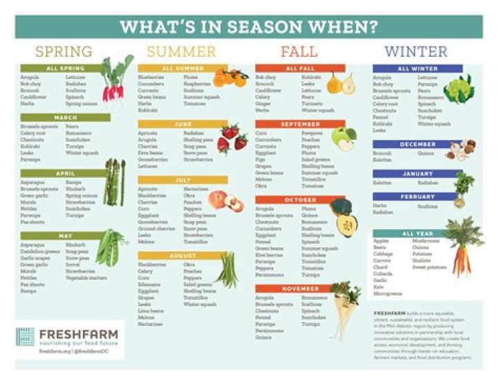 What vegetables are in season in South Carolina